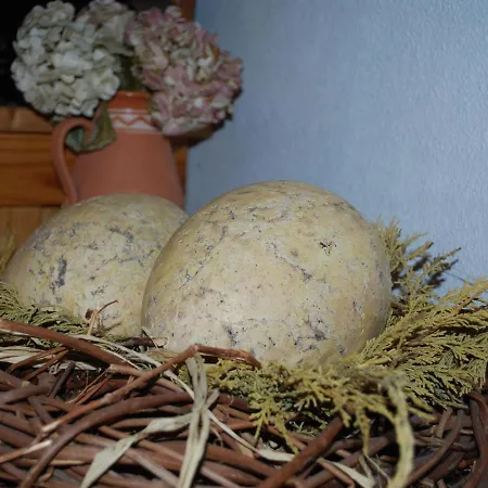In Dargun Mit Garten Apartamento Barlin