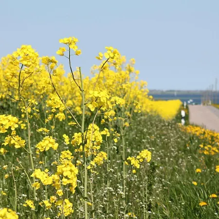 In Dargun Mit Garten 公寓