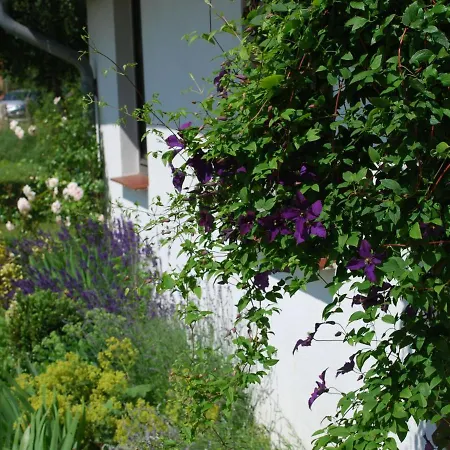 In Dargun Mit Garten Barlin