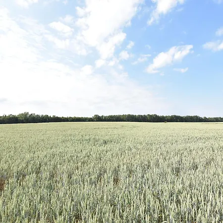 In Dargun Mit Garten Barlin